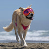 Rex Specs Dog Goggles V2