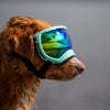 Rex Specs Dog Goggles V2