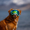 Rex Specs Dog Goggles V2