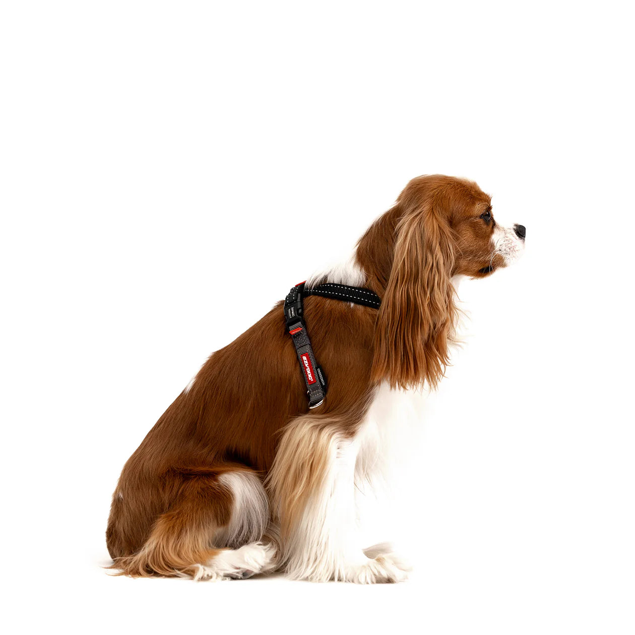 EzyDog CrossCheck Harness