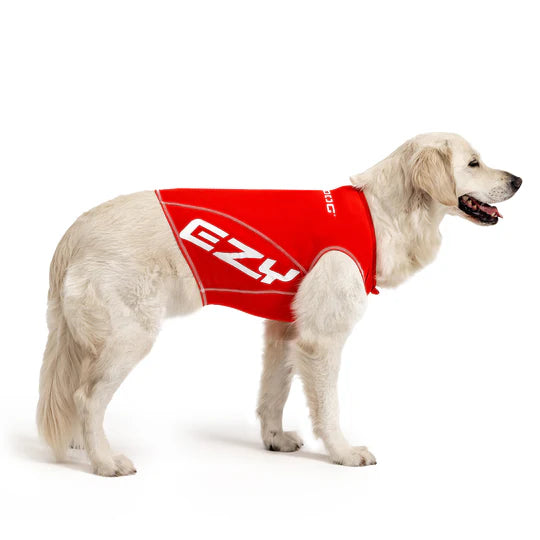 EzyDog Rashies