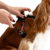 EzyDog CrossCheck Harness