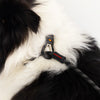 EzyDog Luca Leash