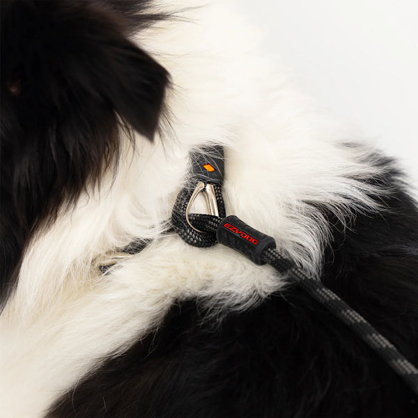 EzyDog Luca Leash