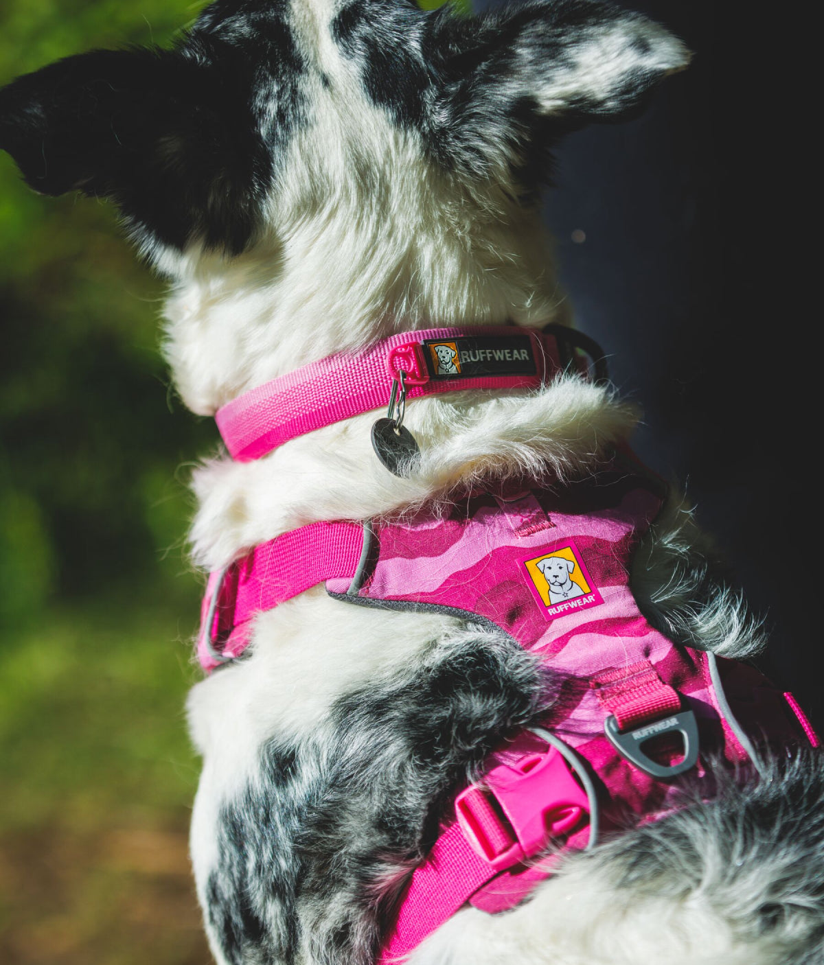 Ruffwear Front Range Harness