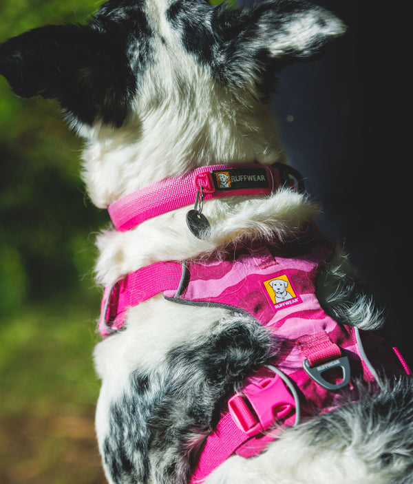 Ruffwear Front Range Harness