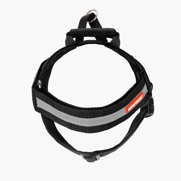 ⚡️ EzyDog Express Harness