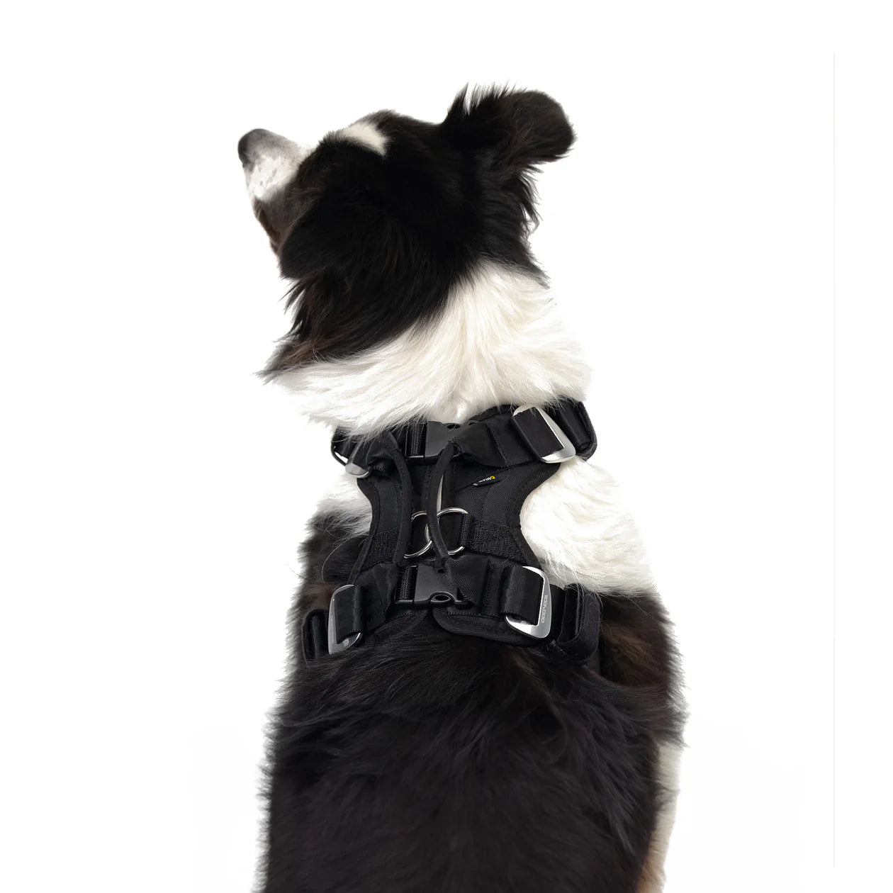 EzyDog Drive Harness