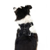 EzyDog Drive Harness