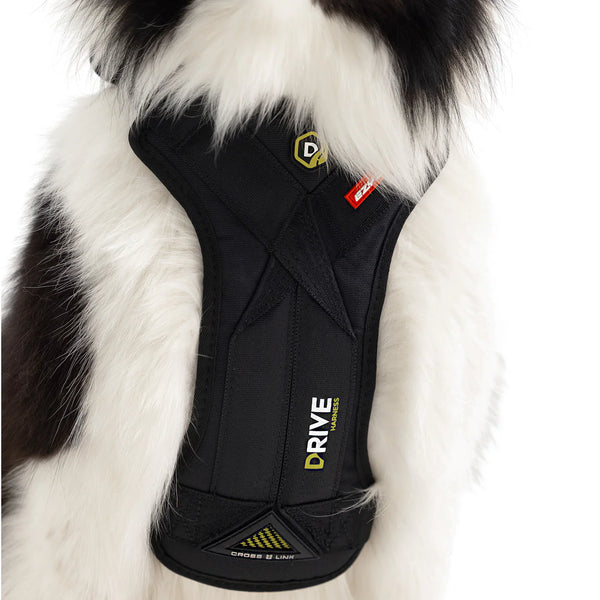 EzyDog Drive Harness