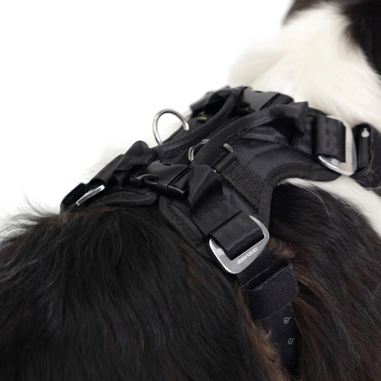 EzyDog Drive Harness