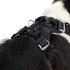 EzyDog Drive Harness