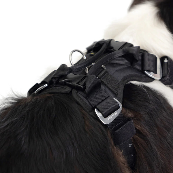 EzyDog Drive Harness