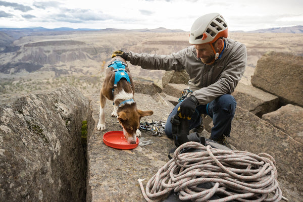 ⚡ Ruffwear Camp Flyer Toy