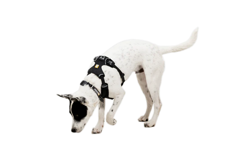 Ruffwear Front Range Flex Harness