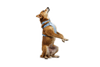 Ruffwear Front Range Flex Harness