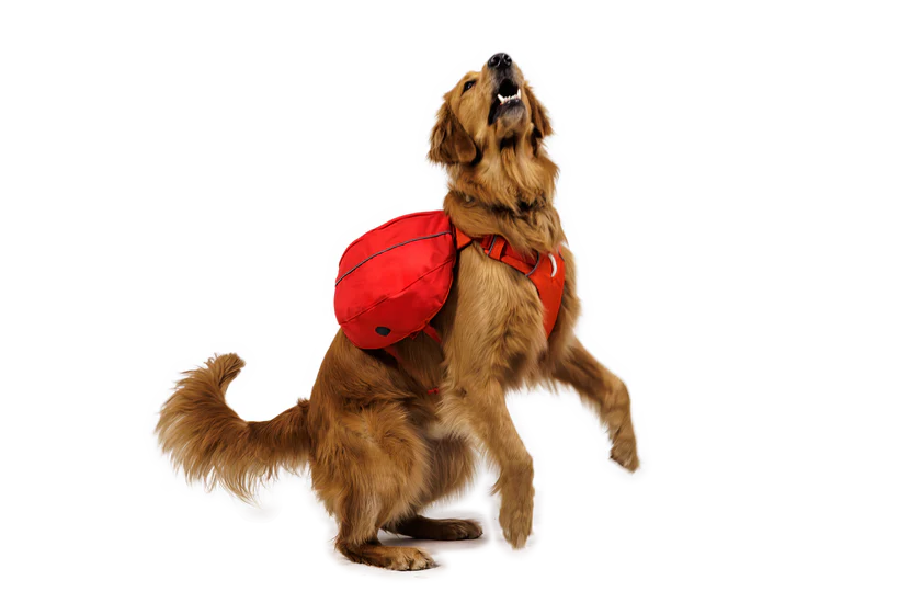 Ruffwear Palisades Pack