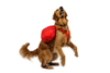 Ruffwear Palisades Pack