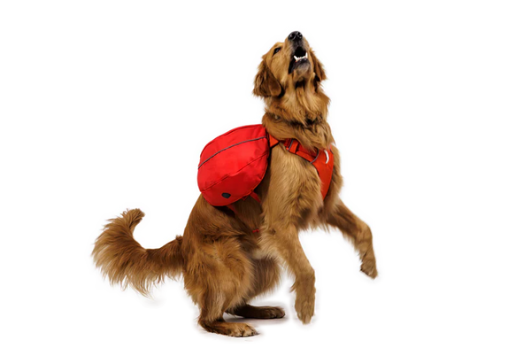 Ruffwear Palisades Pack