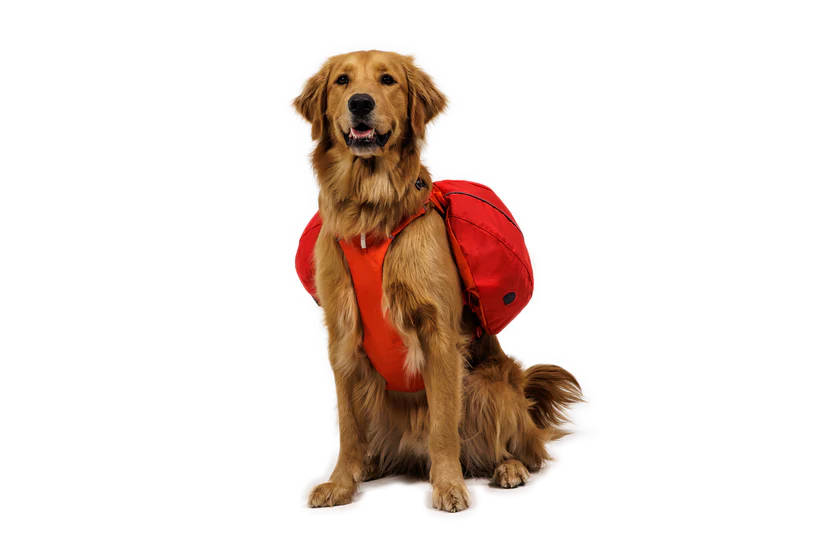 Ruffwear Palisades Pack