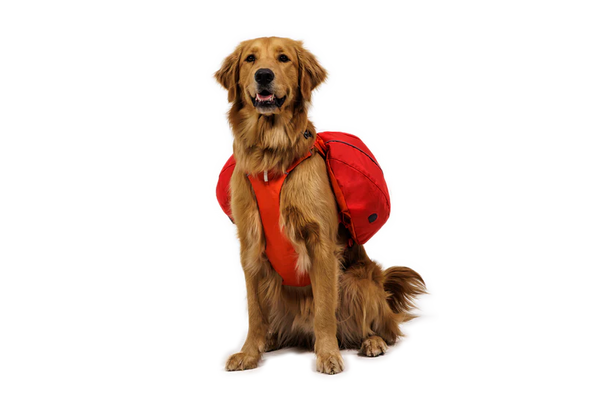 Ruffwear Palisades Pack