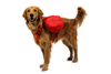 Ruffwear Palisades Pack