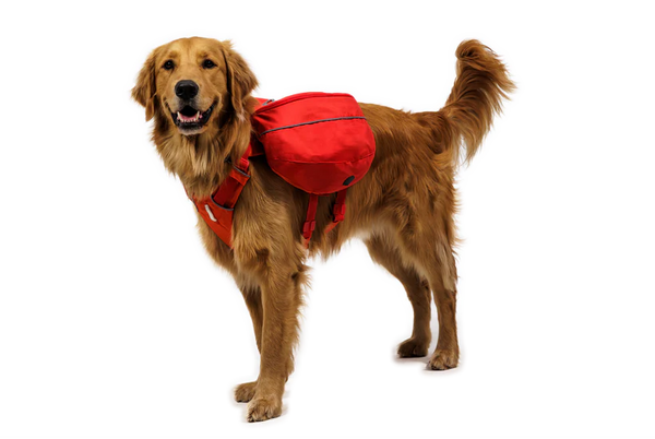 Ruffwear Palisades Pack