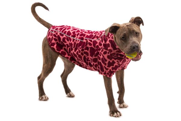 ⚡New  Ruffwear Climate Changer Jacket