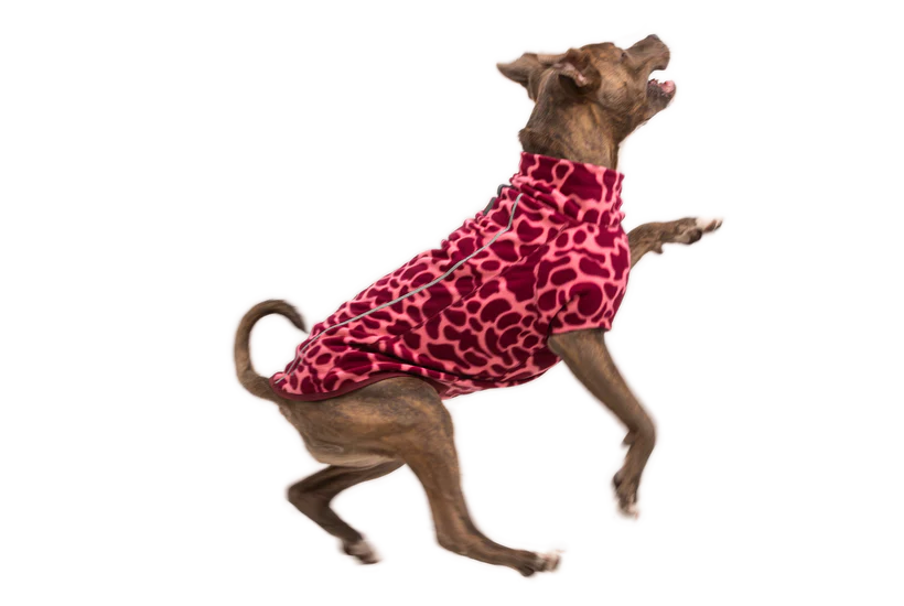 ⚡New  Ruffwear Climate Changer Jacket