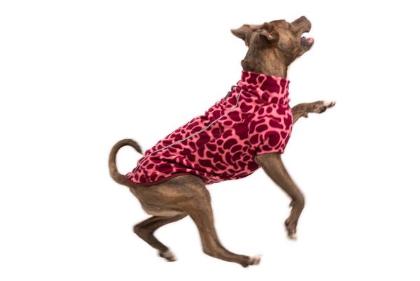 ⚡New  Ruffwear Climate Changer Jacket