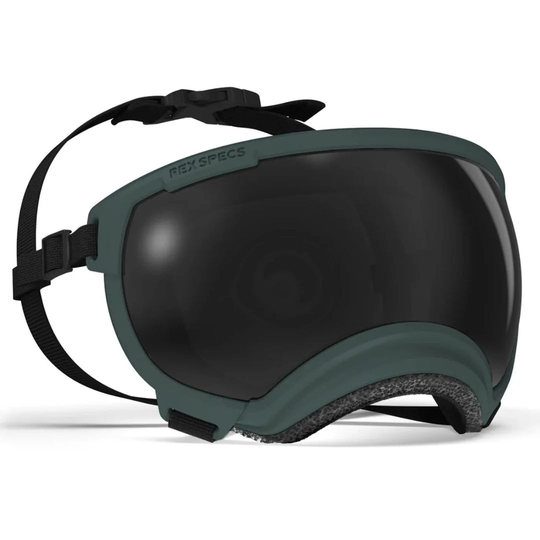 Rex Specs Dog Goggles V2