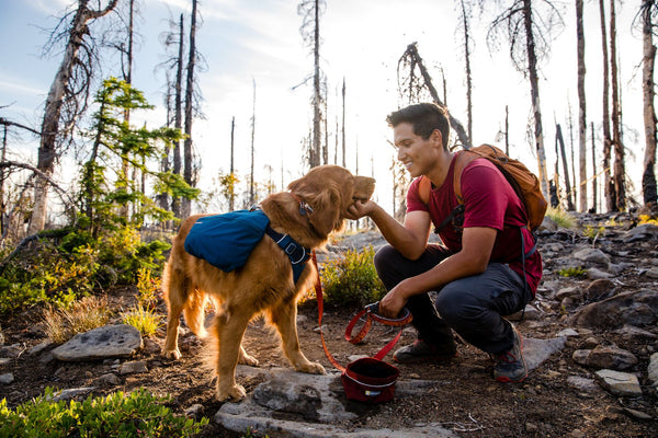 ⚡ Ruffwear Front Range Day Pack