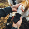 Ruffwear Ridgeline Dog Shoes  (2 Dog Shoes)