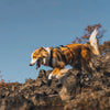 Ruffwear Ridgeline Dog Shoes  (2 Dog Shoes)