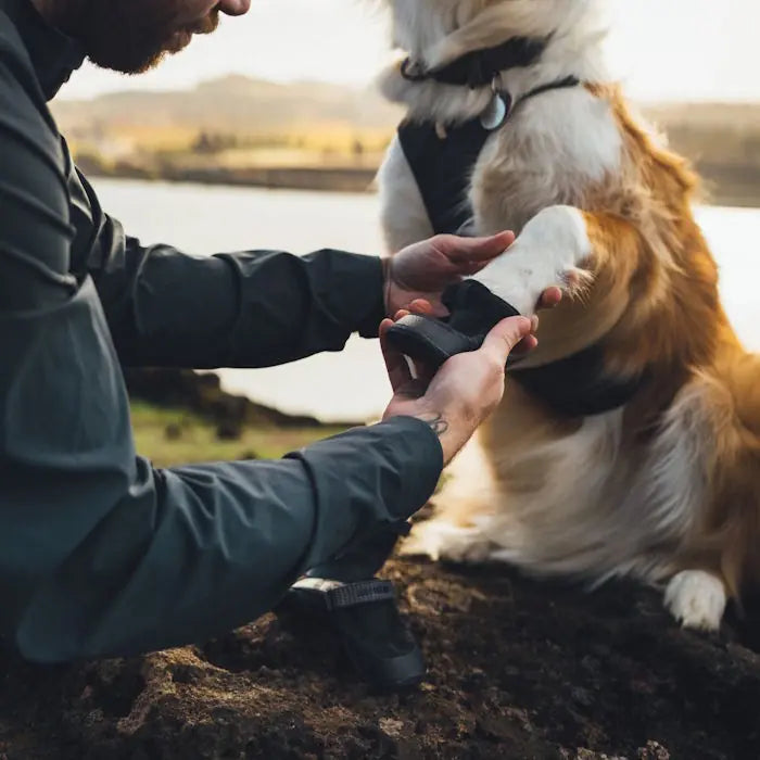 Ruffwear Ridgeline Dog Shoes  (2 Dog Shoes)