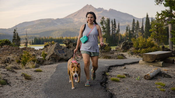 ⚡ Ruffwear Stash Bag Plus