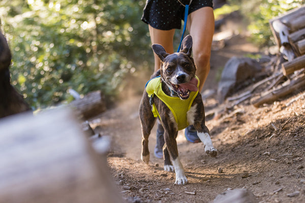 ⚡ Ruffwear Trail Runner Running Vest