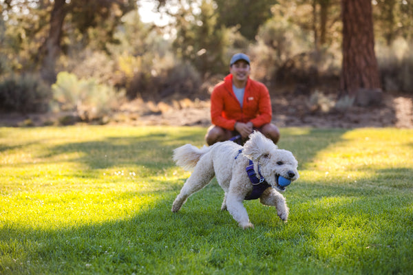 ⚡ Ruffwear Turnup Toy