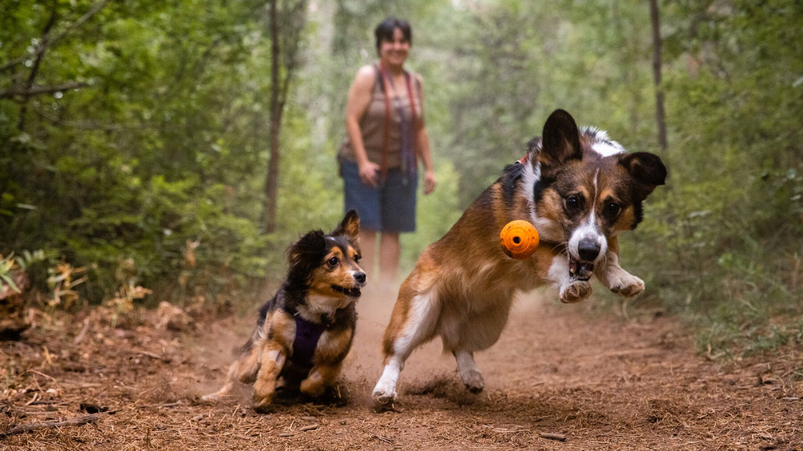 ⚡ Ruffwear Turnup Toy