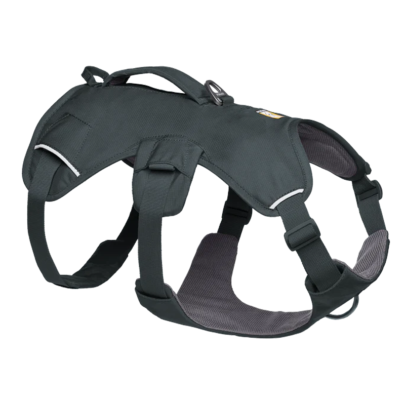 ⚡ Ruffwear Web Master Harness 2025