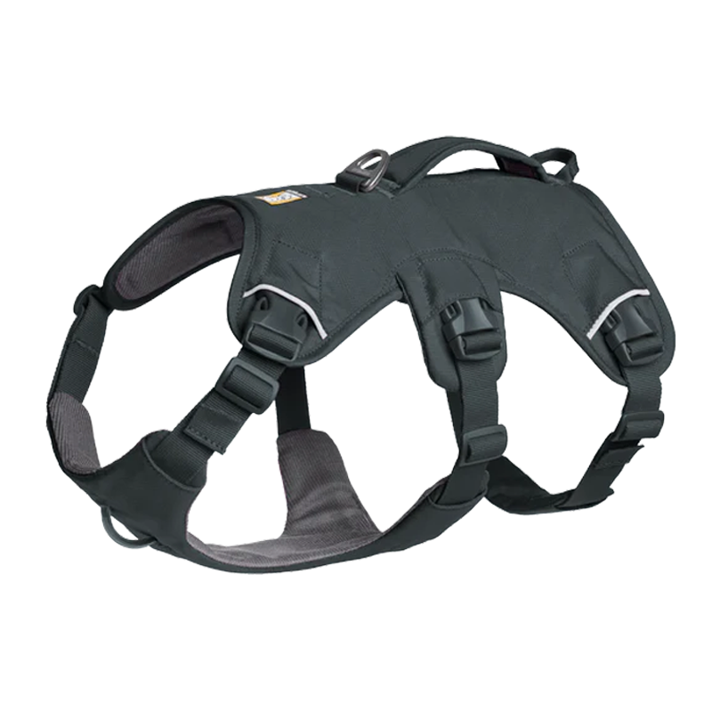 ⚡ Ruffwear Web Master Harness 2025