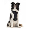 EzyDog Drive Harness
