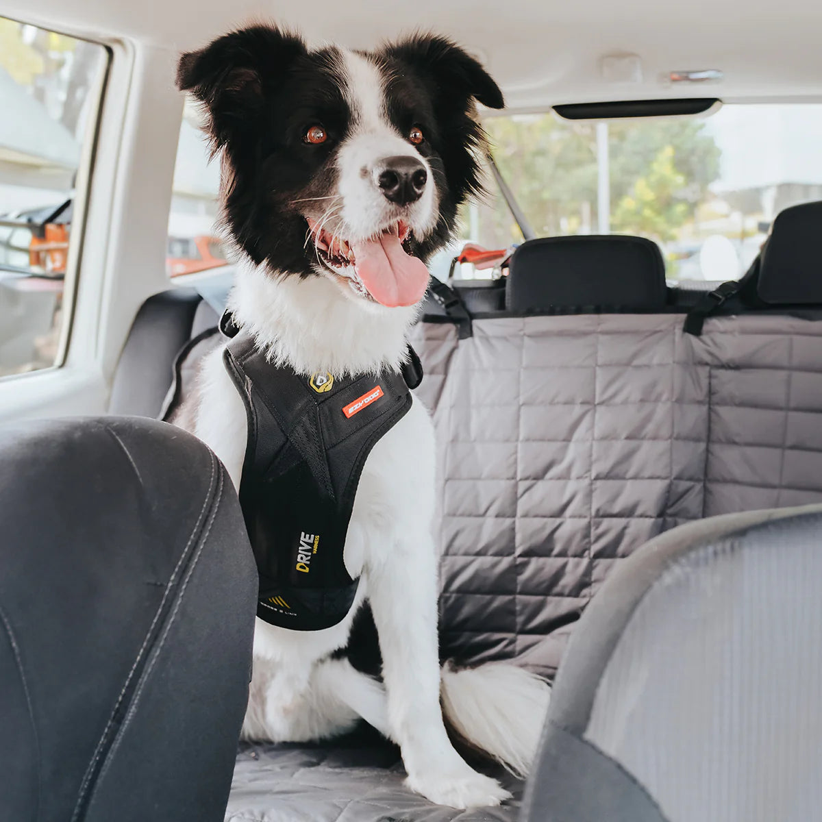 EzyDog Drive Harness