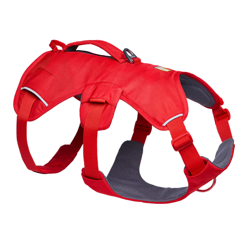 ⚡ Ruffwear Web Master Harness 2025