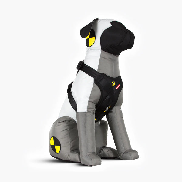 EzyDog Drive Harness