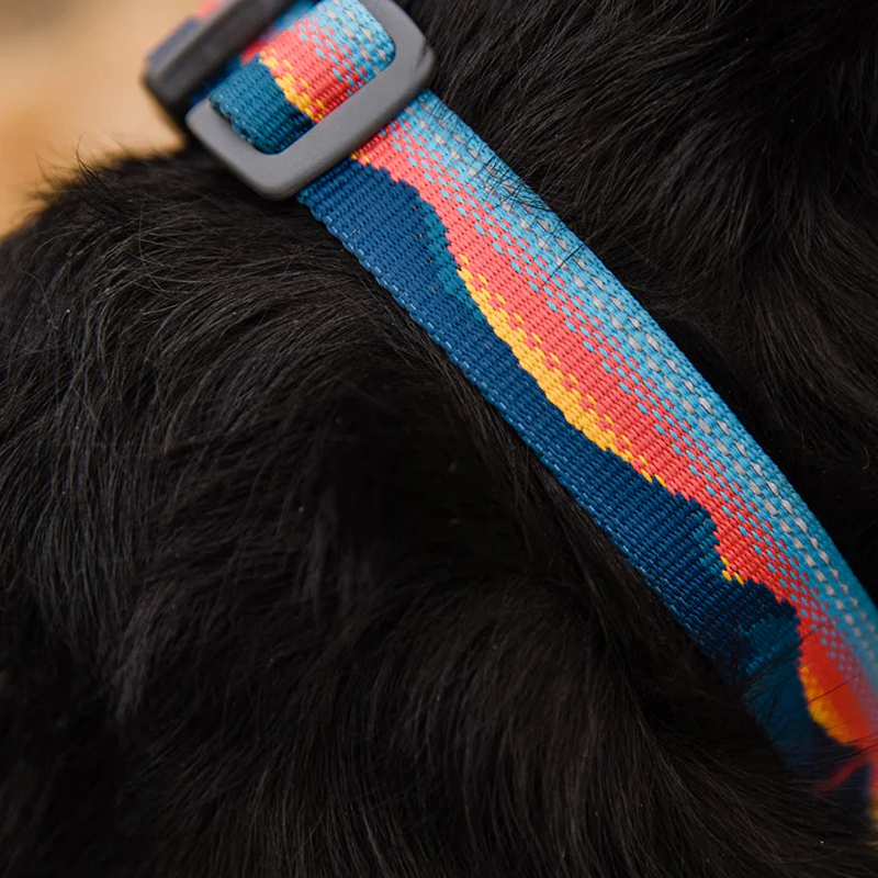 ⚡ Ruffwear Top Rope Dog Collar