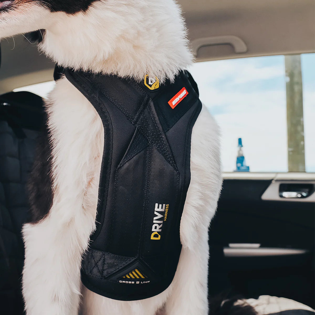 EzyDog Drive Harness