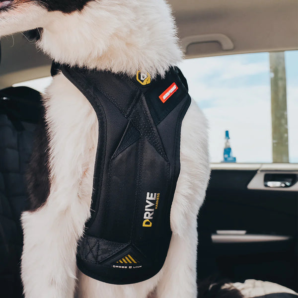 EzyDog Drive Harness