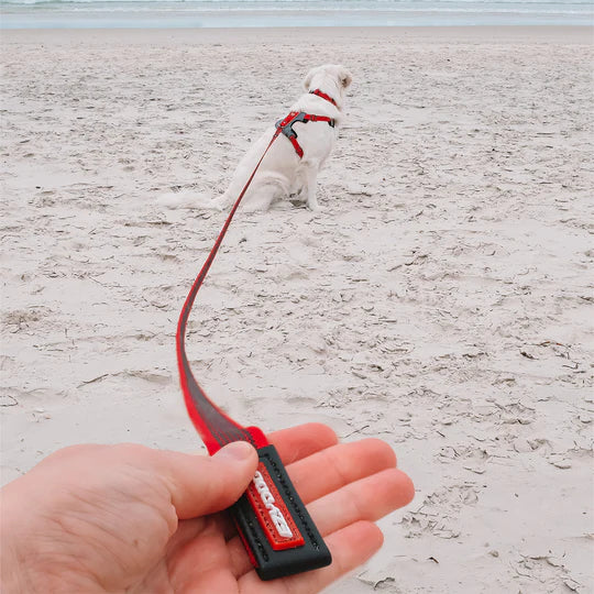 EzyDog Track n Train Leash