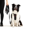 EzyDog Track n Train Leash